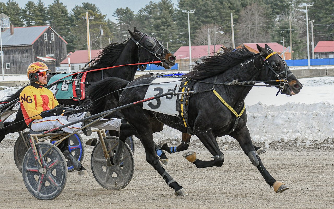 Sophomore trotter Devious Lad (Nick Graffam) defeated older horses in his $7,500 division