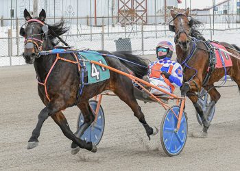 Jax Spratt (Aaron Hall) took his second Prancer leg victory on Saturday at Cumberland; 2. Sophomore trotter Devious Lad (Nick Graffam) defeated older horses in his $7,500 division. (Joe Shaw photos)