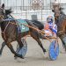 Jax Spratt stays perfect in Prancer Series 5 Jax Spratt (Aaron Hall) took his second Prancer leg victory on Saturday at Cumberland; 2. Sophomore trotter Devious Lad (Nick Graffam) defeated older horses in his $7,500 division. (Joe Shaw photos)