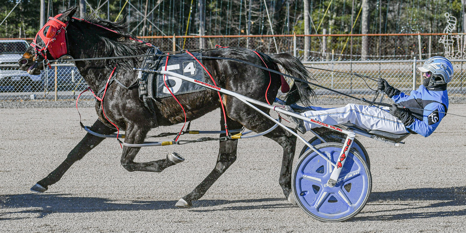 Juneparker takes big finale at Cumberland 1 Leadingreinsman Kevin Switzer Jr. guided Juneparker to a thrilling victory in the $10,00final feature at Cumberland