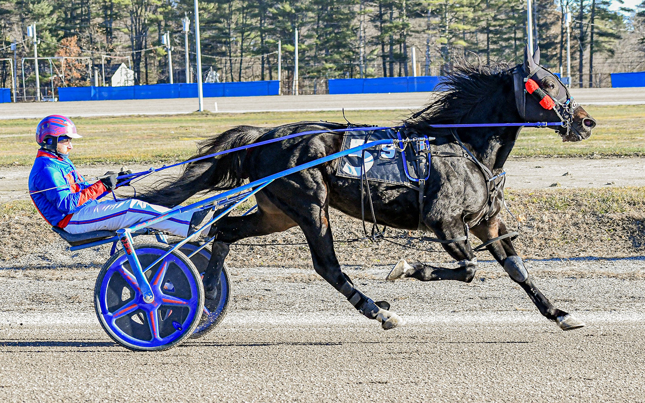 Brutalizer bulldozes rivals 1