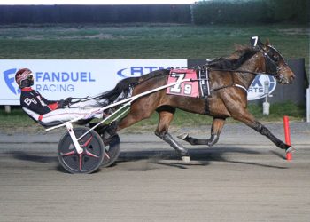 Hey Porter upsets harness racing rivals