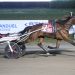 Hey Porter upsets harness racing rivals