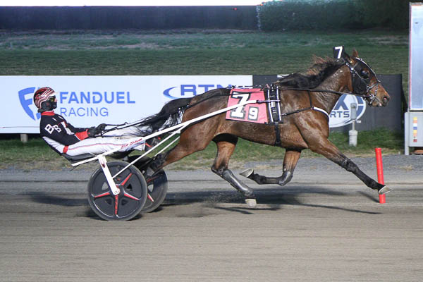 Hey Porter, Bourbonista S upset harness racing rivals 1 Hey Porter