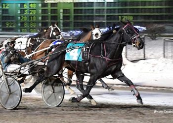 Windemere Saddy springs mild upset