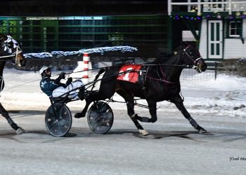 Windemere Saddy shines, Whole Nother springs upset