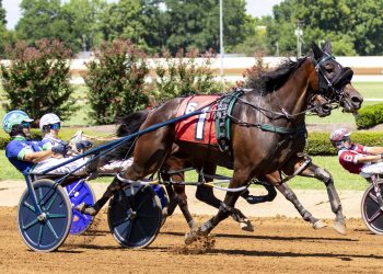 Bath Bomb by Lather Up (Red Mile Photo)
