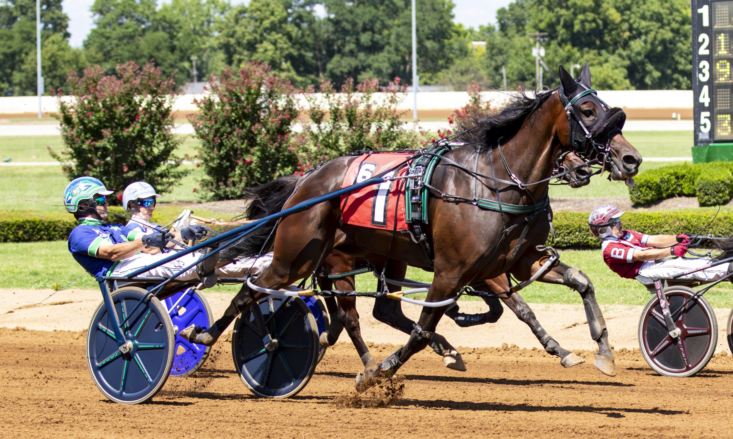 Lather Up mare named Aged Mare Pacer of the Year 1 Bath Bomb (Red Mile Photo)