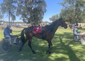 Home Cup glory for Rudd and Bennie