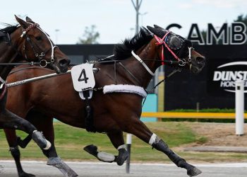 Robinson out to make his mark with Teaz pair