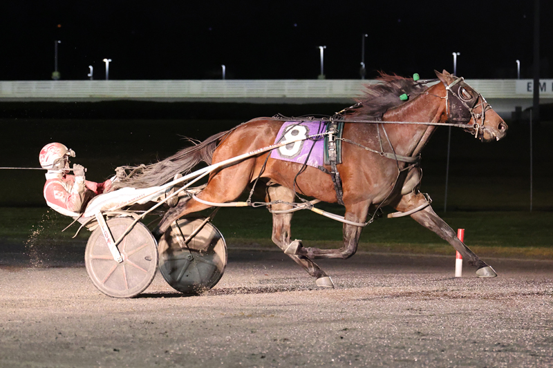 Coaches Corner wins $250,000 MGM Grand Prix Pace 1 Coaches Corner