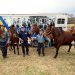 Standardbred Survivors Proudly Join Mounted Patrol