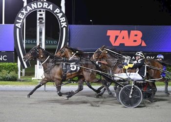 Final 2025 Gavelhouse Auction closes tonight at 7pm