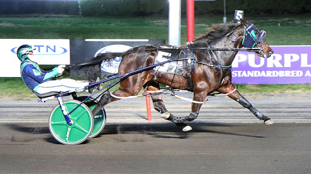 Perfidious Crown continues breakout season 1