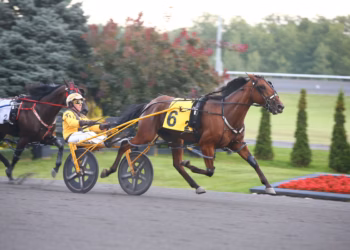 Cold Creek Pantera and driver Trevor Henry winning Race 2 on September 2, 2025 at Woodbine Mohawk Park (New Image Media)