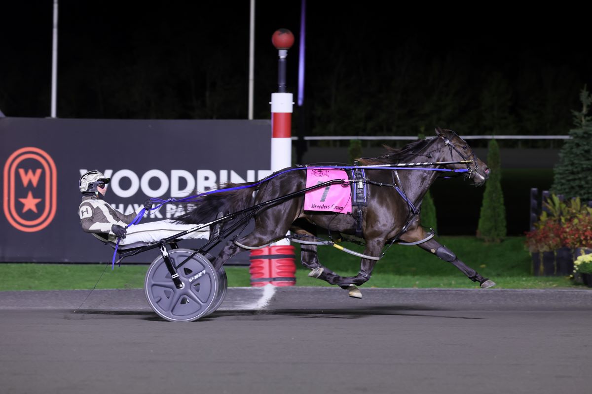 Always B Naughty winning Breeders Crown 