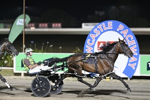 Captains Knock looking to make it another step closer to the $1million Carnival of Cups Bonus at Bathurst on Friday night. Photo by Brett Atkins