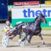 Forty Love earns Hunter Cup shot after impressive Ballarat run 2 Forty Love