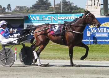 Ah Dinnae Ken a mare on the rise