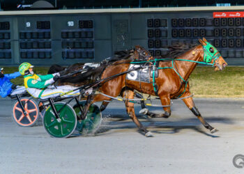 Ballast sails to victory in the Fillies and Mares Open Handicap pace