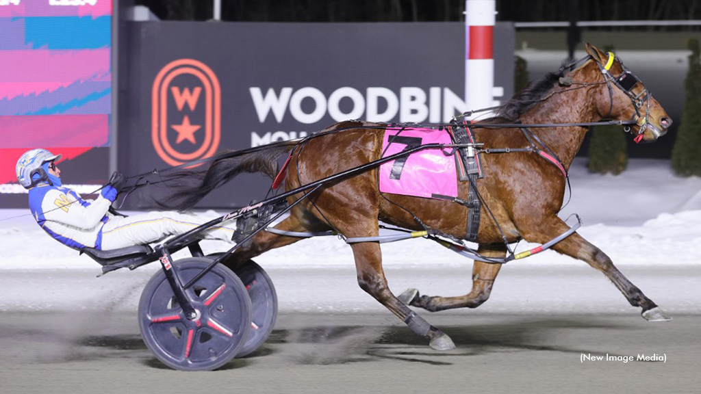 Menary hits $30 million with Mohawk Open sweep 1 Brue Hanover