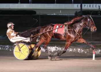 Calabrese, Polansky win in NAADA Winter Series Opener