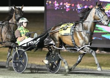 Captains Knock joins the million dollar club