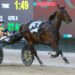 Grimson’s Kiwi imports light up Menangle 6 Captains Mistress