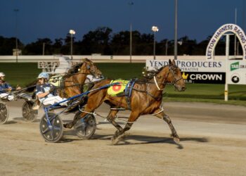 Catchafire outstays his rivals to take Leeton Cup