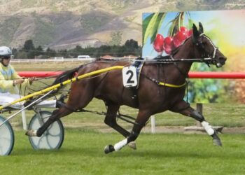 Cinderella star of Central ball