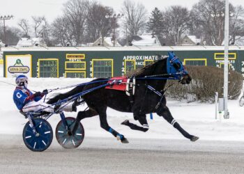 Crazy Fool was no joke in Batavia Downs feature trot