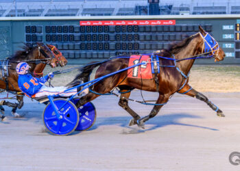Downers Delight captures the Open pace at Bally's Dover on Thursday night