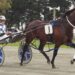 Double Jeopardy wins Roxburgh Cup 6