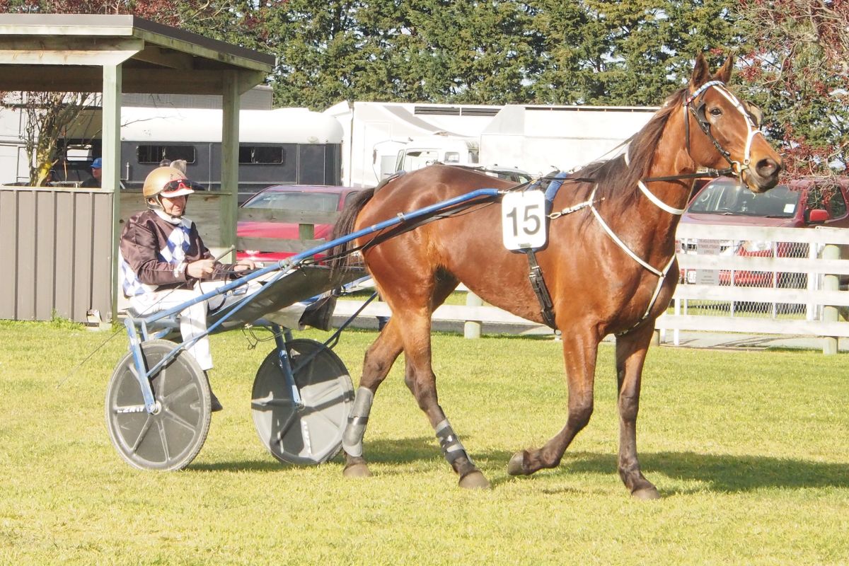 Inside the Phil Williamson camp 1