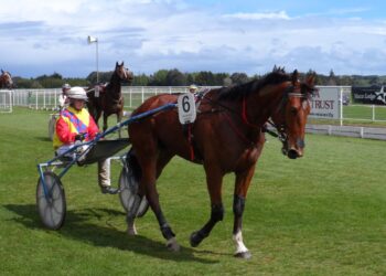 Hillbilly Blues has southern heritage