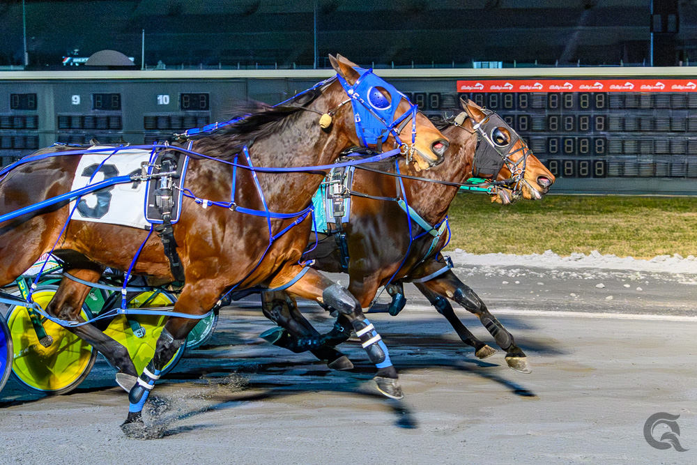 Factory Girl storms to victory 1 Factory Girl