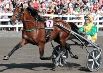 Prix D’Amerique beckons in late January