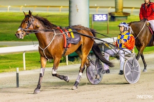 Grumpee on best behaviour to win Trotters Cup