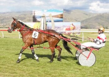 Hacksaw Ridge wins gong