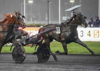 Hokkaido Jiel SCOOPDYGA Photo