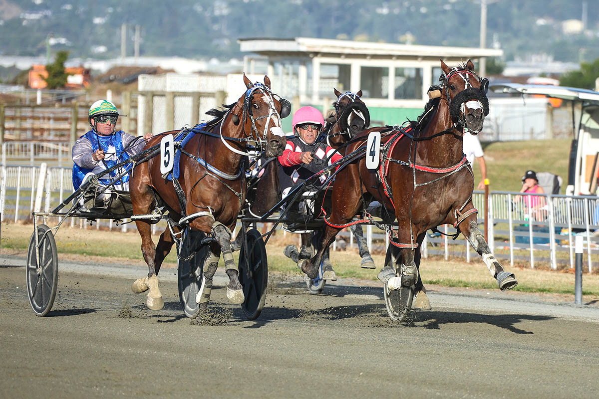 Cambridge and Nelson features in review 1