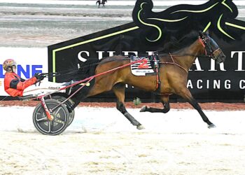 Herbie’s classic drive on I’m Bobby in Shepparton Trotters Cup