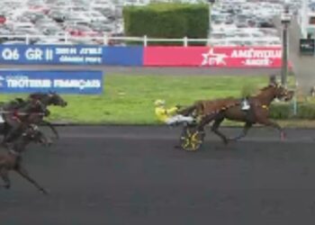 Iroise de la Noe wins Gr II Prix de Belgique