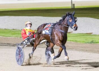 Jilliby Ballerini in formidable return to racing
