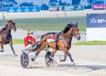 Jilliby Ballerini is all class in Cup Win