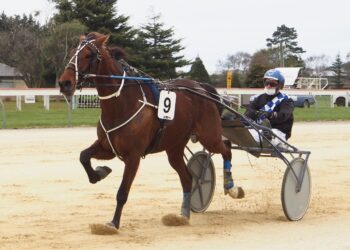 Inside the Phil Williamson camp