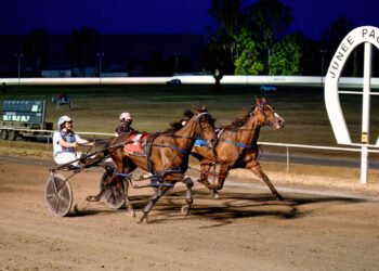 Kimcando’s last gasp win in Junee Cup