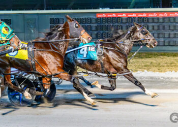 Muskateer Hanover