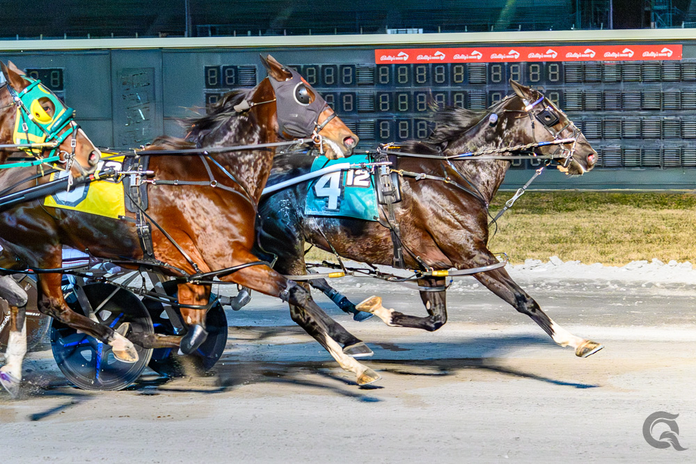 Muskateer Hanover upsets rivals 1 Muskateer Hanover