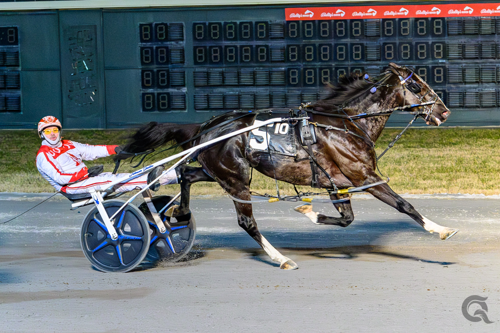 Muskateer Hanover